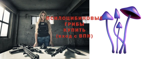 МДПВ Магадан